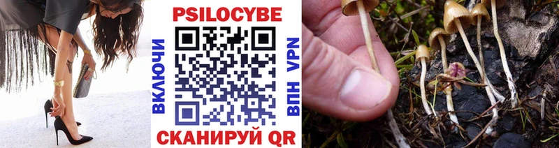 Галлюциногенные грибы Psilocybine cubensis  Купить где  Бокситогорск 
